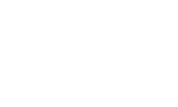 GN white logo